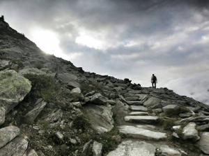 10500287_548074048636867_5139584673459123793_n